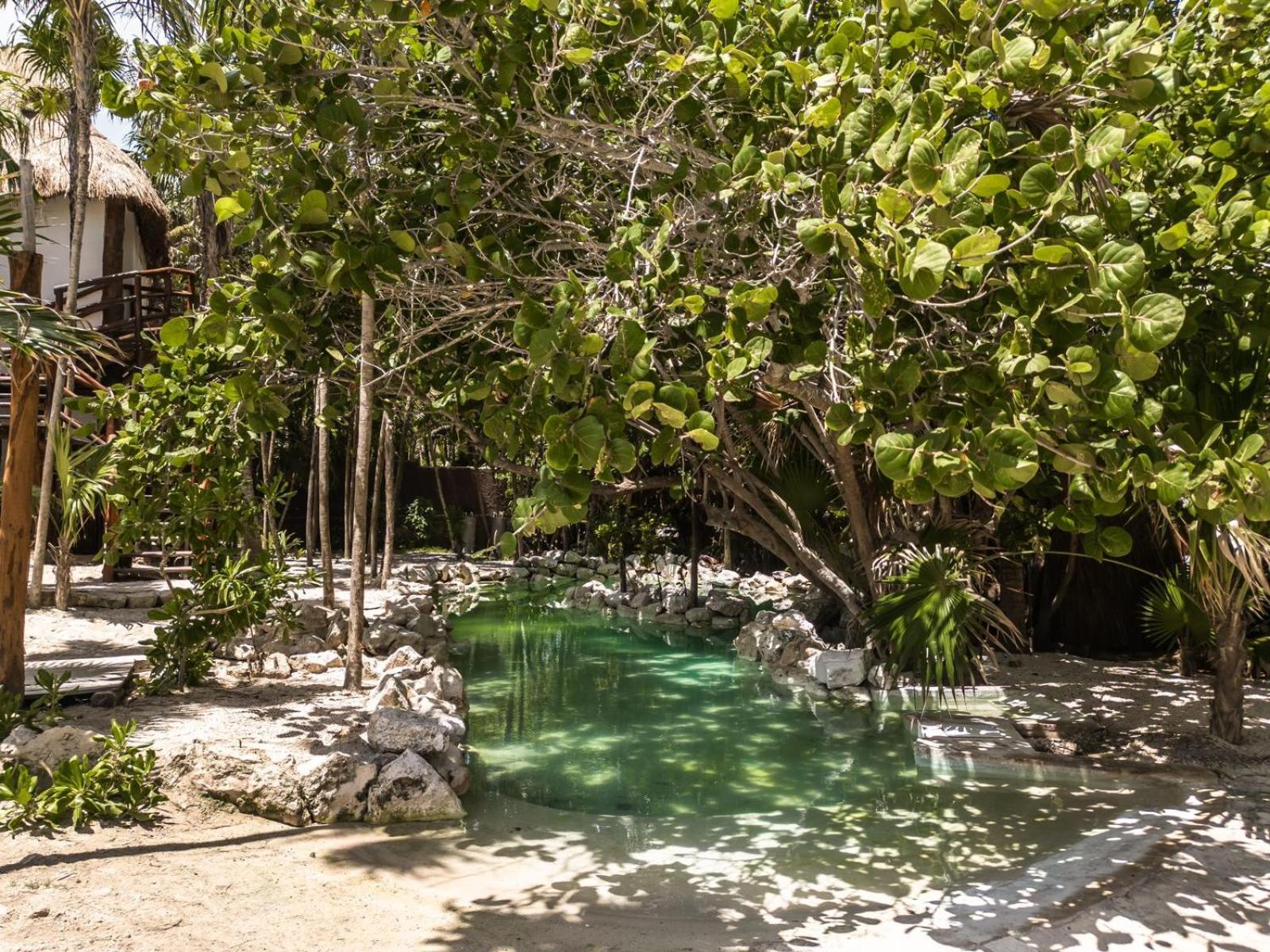 Niken Beachfront Tulum Hotel Eksteriør bilde