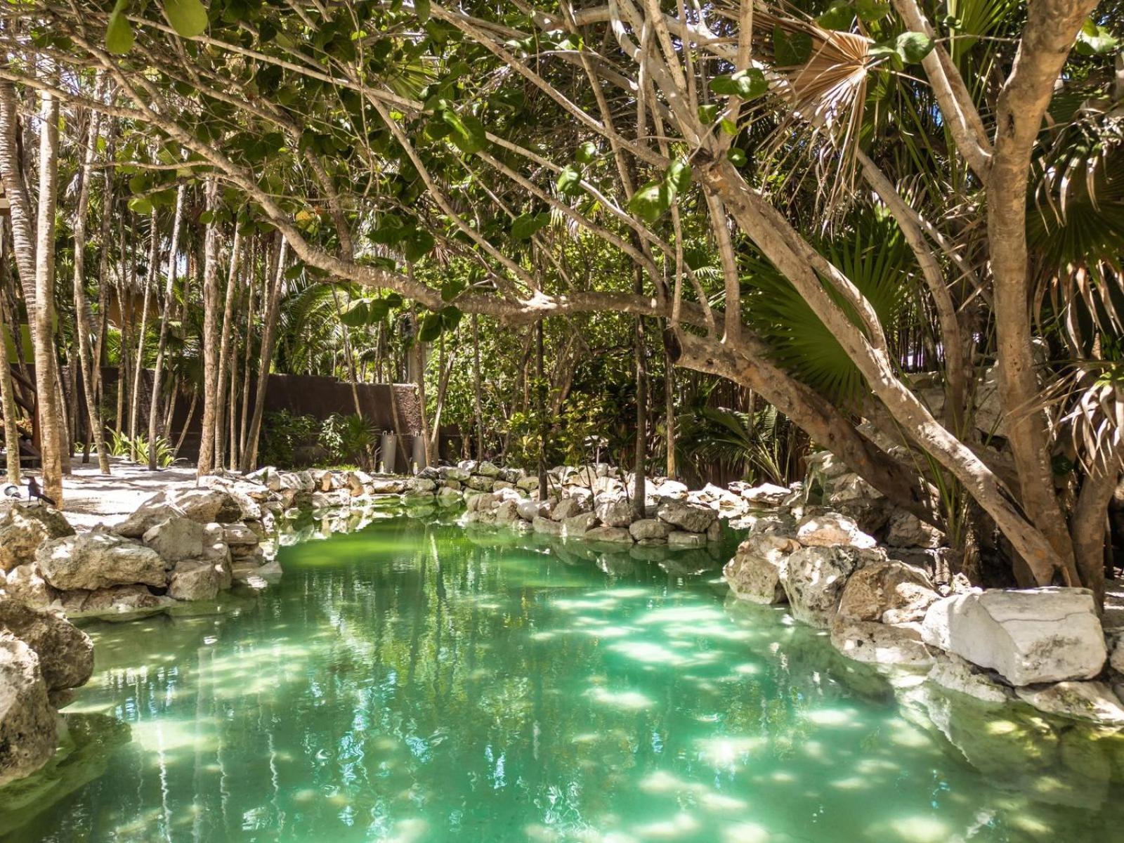 Niken Beachfront Tulum Hotel Eksteriør bilde